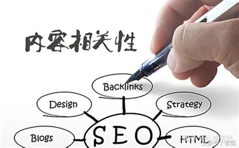 seo网站的优化方案（seo是指搜索引擎优化）-8848SEO