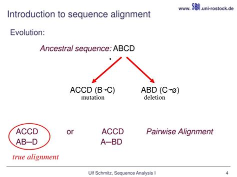 Bioinformatics Sequence 的图像结果