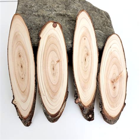 Oval Tree Slices, Unfinished Larch Wood Blanks With Bark, Woodworking ...