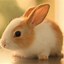 Image result for Free Bunny Patterns