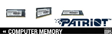 Amazon.in: Buy Patriot Memory Signature DDR5 RAM 16GB (1X16GB) 5600MHz ...