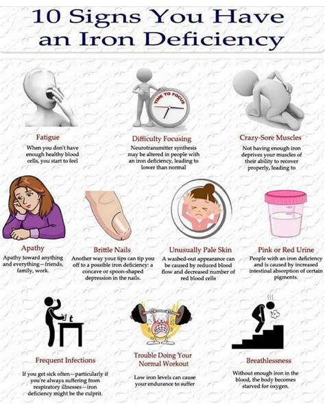 When To Avoid Iron Supplements