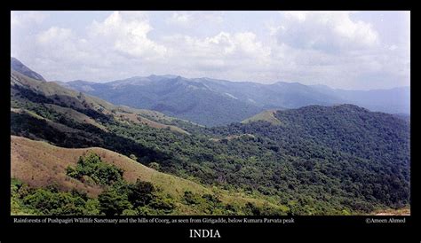 Pushpagiri - JungleKey.in Image #50