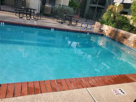 Image result for Pool Service Arizona