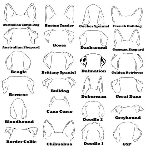 Small Dog Tattoos, Tattoos For Dog Lovers, Cool Wrist Tattoos, Dog Outline, Tattoo Outline ...