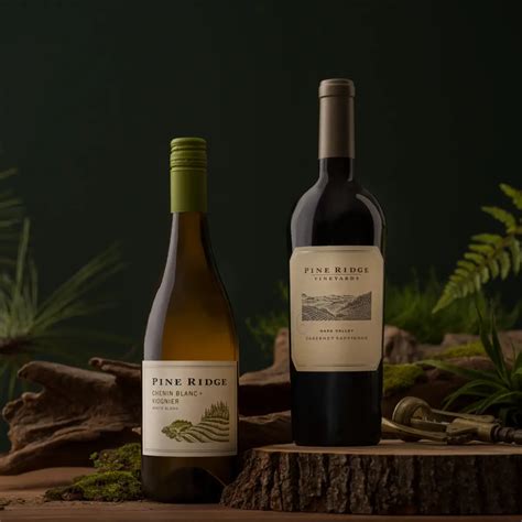 Umami Burger with Harissa Mayo, Grilled Onions, and Wild Mushrooms ...