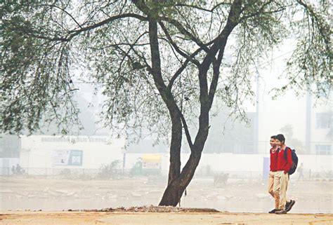 Capital’s temp dips at start of February