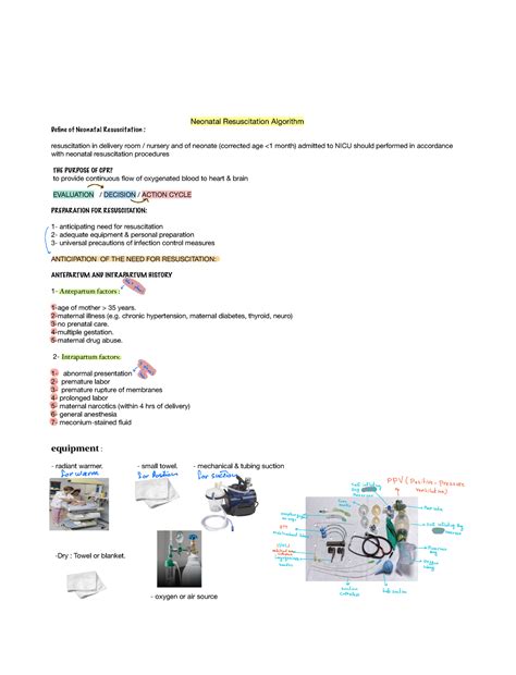Image result for Neonatal Resuscitation Algorithm 2024