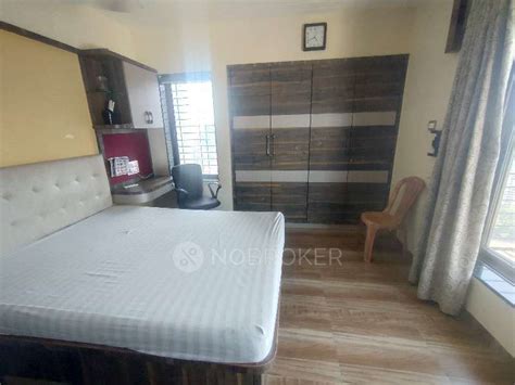 Neptune Flying Kites A Wing Right Wing, Mumbai Mumbai - Without ...