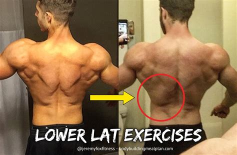 Lower Lat Exercises