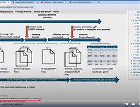 RNA-Seq Analysis Tutorial 的图像结果