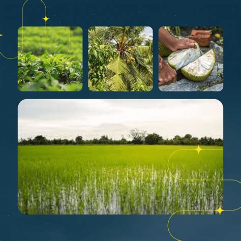 How Sri Lanka’s Farmers Can Transition to Organic Agriculture · Renaissance Sri Lanka
