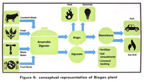 Using Yard Waste as Fuel 的图像结果