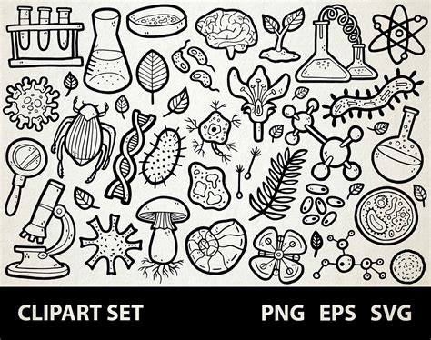 Biology Science Clip Art 的图像结果