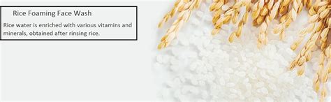 Oraiste Rice Foaming Face Wash for Skin Nourishment and Hydration ...