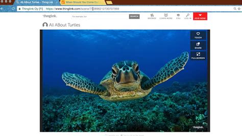 Image result for +Videotutorial ThingLink