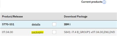 Image result for IBM Java Required Version