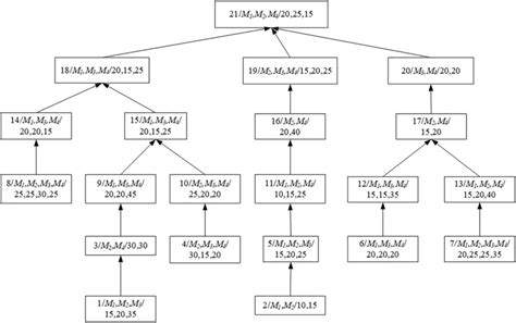 Algorithm Process Tree 的图像结果