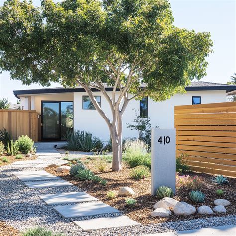 Olive Tree Low Maintenance Front Yard Landscaping