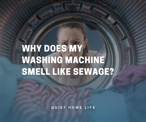 Washing Machine Smell Fix 的图像结果