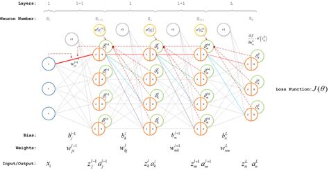 Backpropagation Algorithm & Gradient Descent Algorithm Project 的图像结果