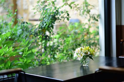 Lily Att Nude Photos, Download The BEST Free Lily Att Nude Stock Photos & HD Images