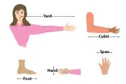 Basic Units of Measurement - General Awareness - Bank Exams PDF Download