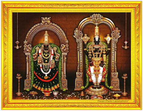 Buy Pavan Photo Laminations Lord Tirupati Balaji Goddess Padmavati ...