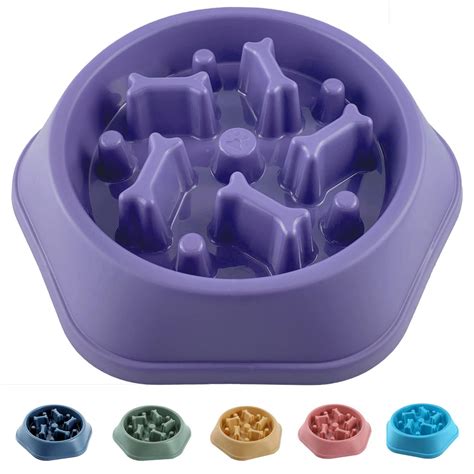 CAISHOW Slow Feeder Dog Bowl Review: Is It Worth The Hype?