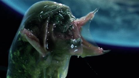 Alien Vs. Predator Was A Minor Box Office Hit That Came At A Major Cost