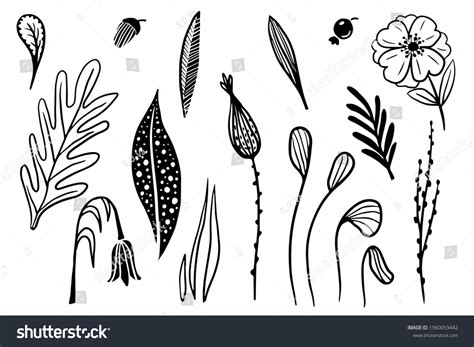 Collection Handdrawn Decorative Silhouettes Flower Leaves Stock Vector (Royalty Free) 1960059442 ...