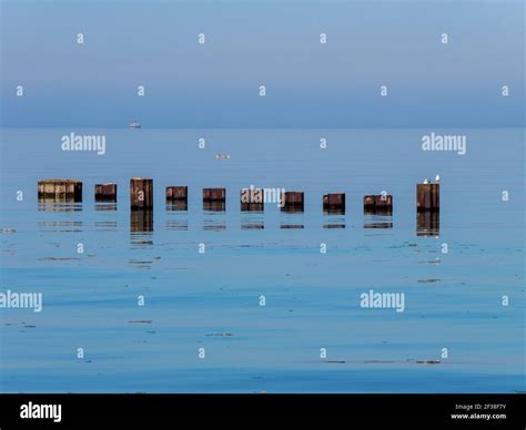 Metal pilings in Lake Michigan with Wilson Avenue Crib (inactive) in ...