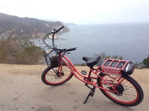 No Hurry in J.C.: A Day on Catalina