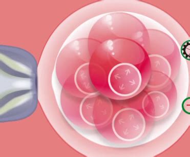 Image result for Masking Region. Add Hatching