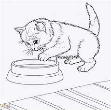 malvorlagen katzenbilder katzen bilder zum ausmalen genial malvorlagen katzen und malvorlagen katzenbilder katzen bilder zum ausmalen genial malvorlagen katzen und