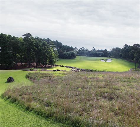 A tall fescue area at Alotian Club, Roland, AR. Get insights on native ...