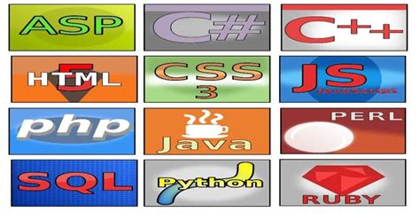 Image result for Programming Degree