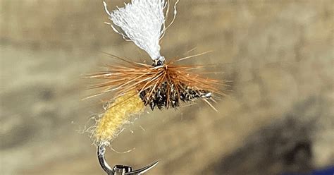 Image result for Emerger Fly Pattern