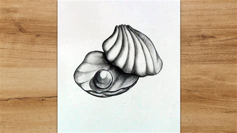 Image result for Shelldrawing