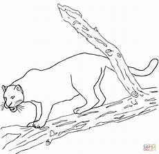 ausmalbilder jaguar ausdrucken ausmalbild schwarzer jaguar ausmalbilder kostenlos zum ausmalbilder jaguar ausdrucken ausmalbild schwarzer jaguar ausmalbilder kostenlos zum