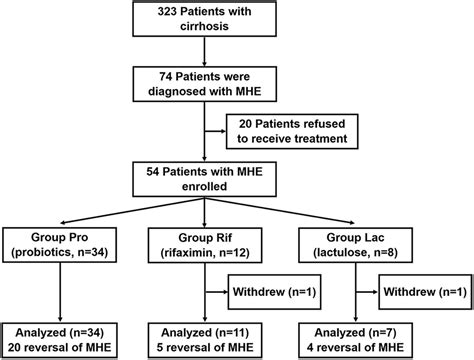 Frontiers | Comparison of the effects of probiotics, rifaximin, and lactulose in the treatment ...
