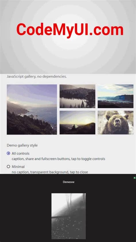 Light Box JavaScript/HTML5 的图像结果