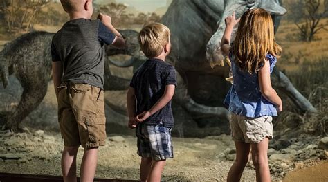 ANCIENT OZARKS NATURAL HISTORY MUSEUM (2025) All You Need to Know ...