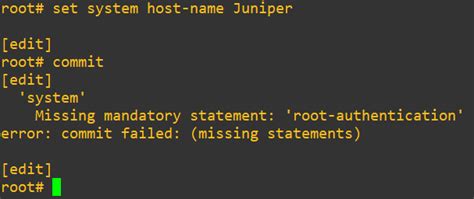 Junos Python Script Example 的图像结果