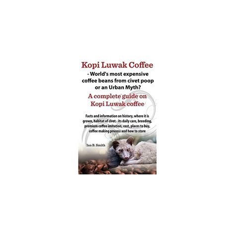 Buy Kopi Luwak Coffee - World's Most Expensive Coffee Beans from Civet ...