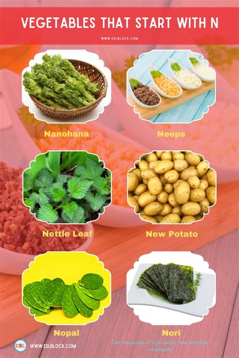 Vegetables That Start With N - English as a Second Language