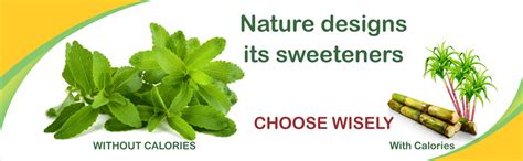 Stellar Gold Stevia Natural Sweetener granules, Sugar Substitute, Table ...