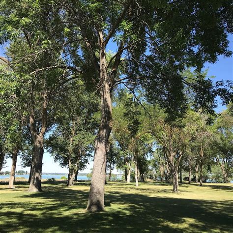 BLUE HERON PARK - All You Need to Know BEFORE You Go (with Photos ...