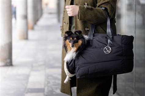 Luxury Dog Carrier Bags at Sabrina Evans blog