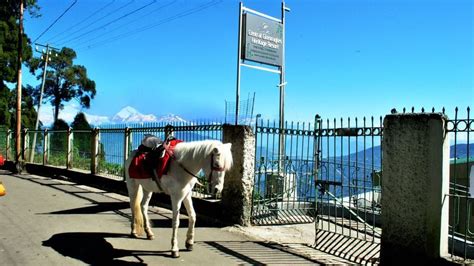 Photos | Central Gleneagles Resort Darjeeling | Darjeeling Hotel